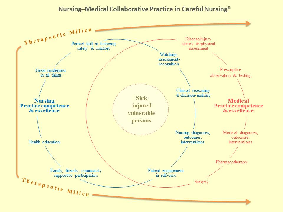 how does the nursing process improve critical thinking and clinical judgement Critical thinking in nursing which includes clinical critical thinking is the process of constant evaluation critical thinking and clinical reasoning are. how does the nursing process improve critical thinking and clinical judgement Critical thinking in nursing which includes clinical critical thinking is the process of constant evaluation critical thinking and clinical reasoning are.