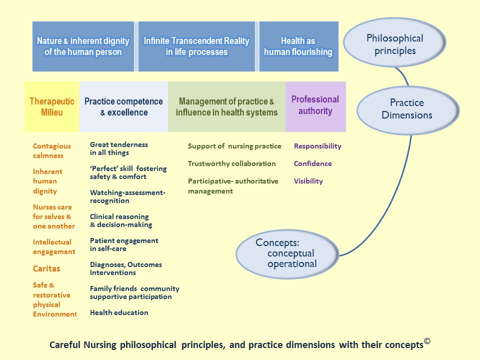 nursing conceptual model