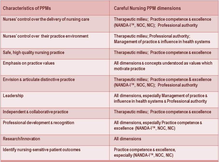 Characteristics Of An Anp For Nursing Practice