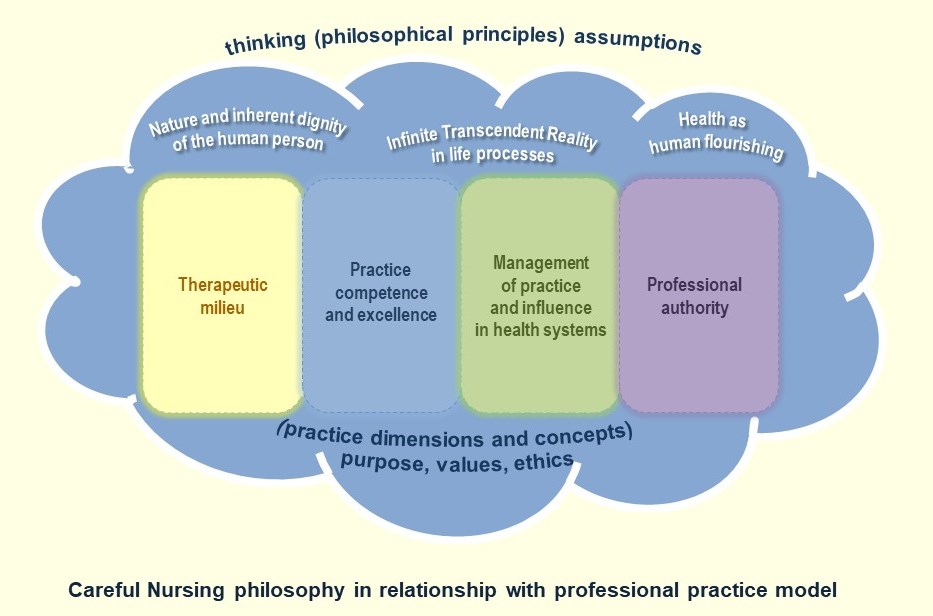 Diagram showing relationship to professional practice model